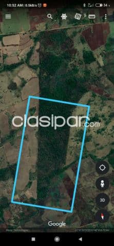 Amambay - pjc: 80 has, excelente oportunidad de inversión, 10.000 usd /ha