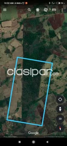 Amambay - pjc: 80 has, excelente oportunidad de inversión, 10.000 usd /ha — foto 2