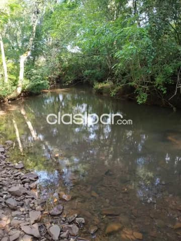 Amambay - pjc: 80 has, excelente oportunidad de inversión, 10.000 usd /ha — foto 3
