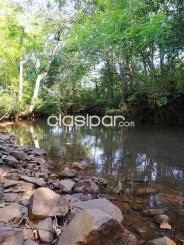 Amambay - pjc: 80 has, excelente oportunidad de inversión, 10.000 usd /ha — foto 4