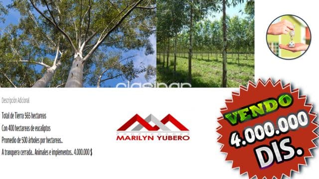 en Caazapá.. Espectacular Estancia!! COD: CL 752, foto 1