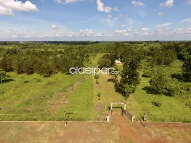 Espectacular Terreno en Ciudad del Este Km 12 - 20 Ha — foto 3