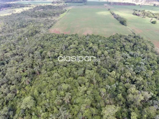 Espectacular Terreno en Ciudad del Este Km 12 - 20 Ha — foto 5