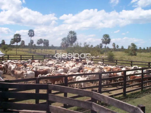 Estancia a 60 km de Asunción en Cerrito — foto 3