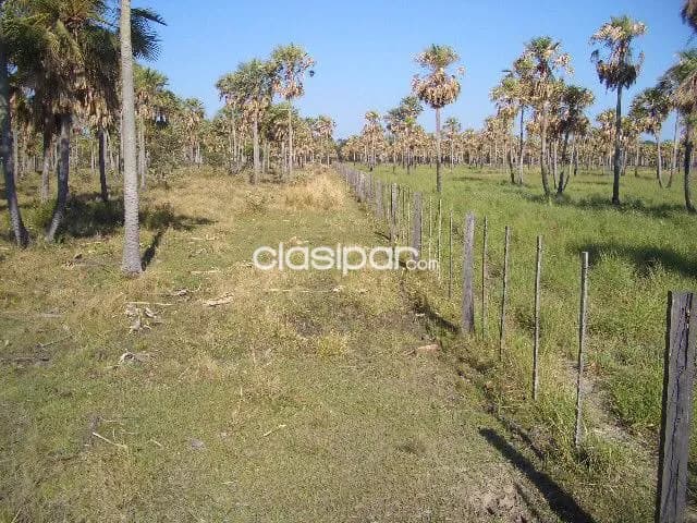 Estancia a 60 km de Asunción en Cerrito — foto 4