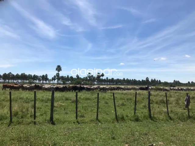 Estancia a 60 km de Asunción en Cerrito — foto 2