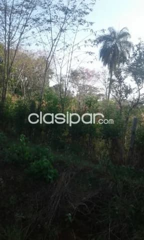 27 ha.en Juan de Mena — foto 4