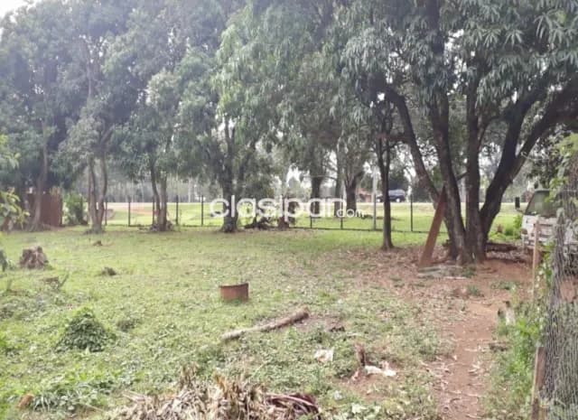 Terreno en Coronel Oviedo sobre Ruta Pavimentada - 5 Has — foto 4
