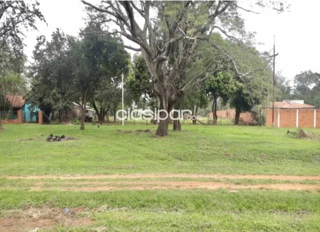 Terreno en Coronel Oviedo sobre Ruta Pavimentada - 5 Has — foto 5