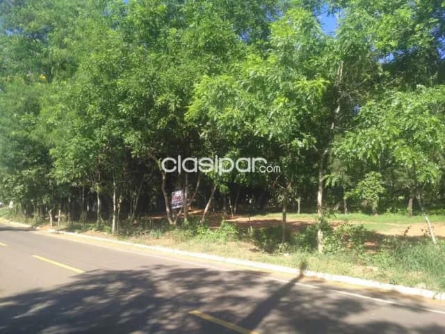 Oportunidad! Luque maramburé: 2 has, s/ ruta, ideales p/ habitacional, logístico, social — foto 2