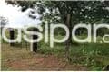 A la venta hermoso y gran terreno de 2008 mts2 en yukyry - Luque, foto 3