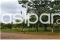 A la venta hermoso y gran terreno de 2008 mts2 en yukyry - Luque, foto 4