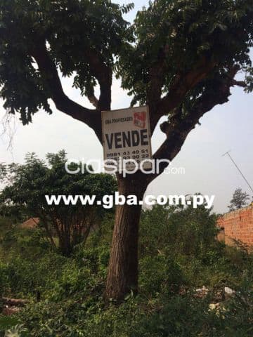 importante terreno zona ruta Luque San Lorenzo a pasos de la Avda.Gral Garay!