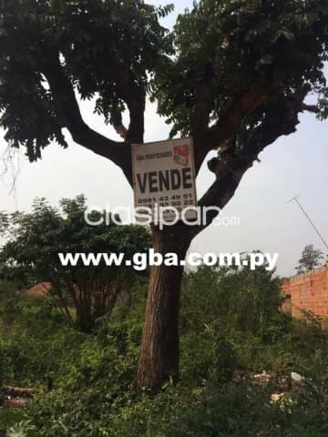 importante terreno zona ruta Luque San Lorenzo a pasos de la Avda.Gral Garay!, foto 2