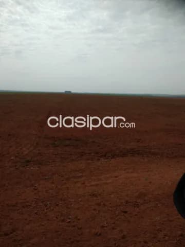 La paloma 370 has mecanizadas lista para la siembra, foto 2