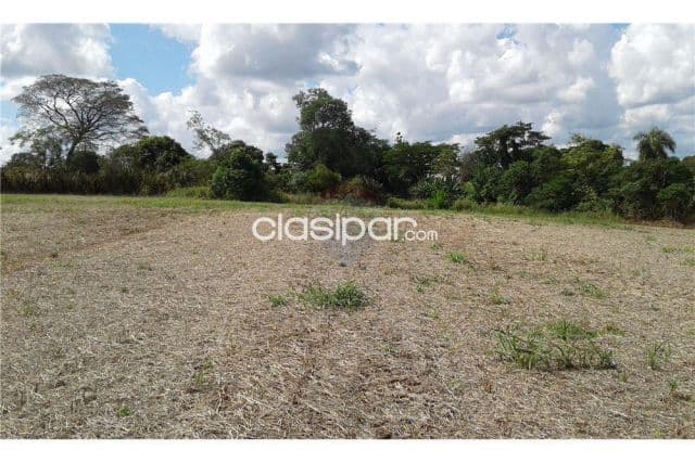 20 hectáreas en zona agrícola (urusapucai) 560,000,000 ₲