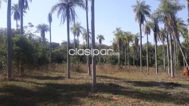 Oferta de 2 ha.en Nueva Colombia, foto 3