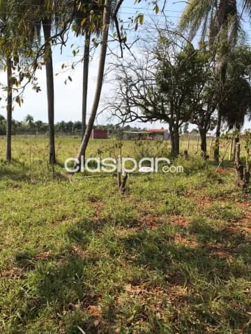 Terreno en venta sobre ruta Piribebuy — foto 3