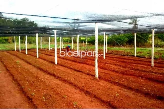 Hermoso campo de 2,5 has ruta 2 600,000,000 ₲, foto 2