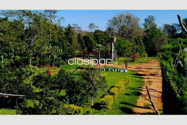 Hermoso campo de 2,5 has ruta 2 600,000,000 ₲, foto 3