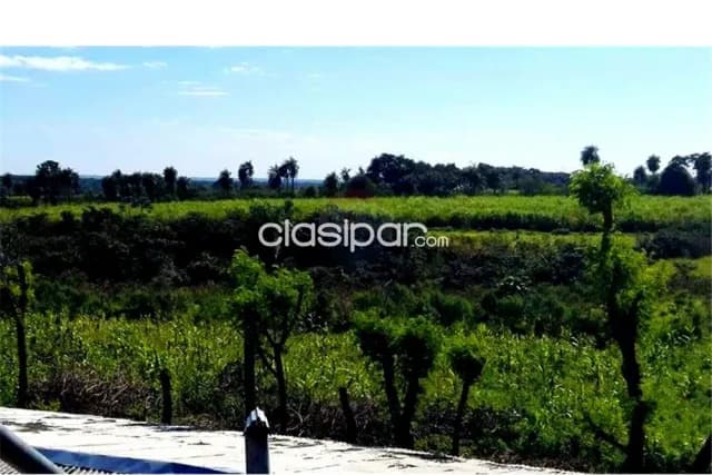 Hermoso campo de 2,5 has ruta 2 600,000,000 ₲, foto 4