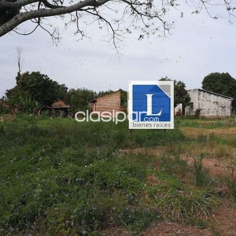 Terreno de 2.136m2 en San Lorenzo laguna grande