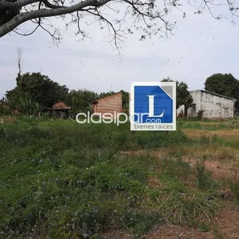 Terreno de 2.136m2 en San Lorenzo laguna grande — foto 2