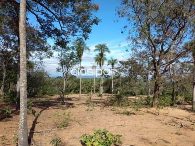 San Bernardino / ciervo cua: Maravillosa oferta, 14.400m2 ideal p/ desar inmobiliarios