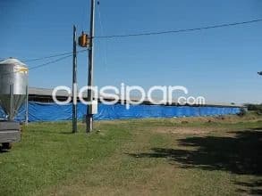 O alquilo granja en loma grande, nueva colombia cod 1970 precio de venta: 450.000 u