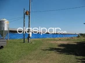 O alquilo granja en loma grande, nueva colombia cod 1970 precio de venta: 450.000 u — foto 2