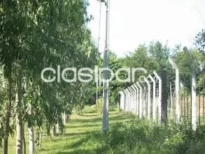 O alquilo granja en loma grande, nueva colombia cod 1970 precio de venta: 450.000 u — foto 5