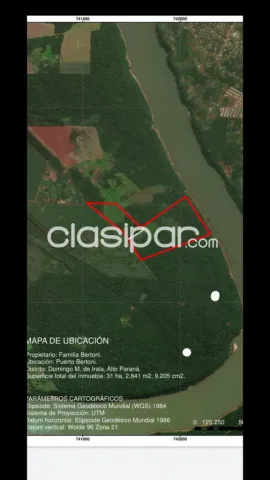 Alto Paraná ! Vendo 31 Hectáreas En Bertoni Alto Parana, foto 2