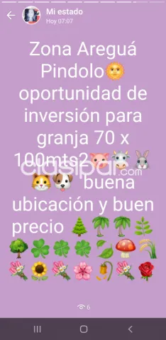 Terreno 70 X 100 — foto 2