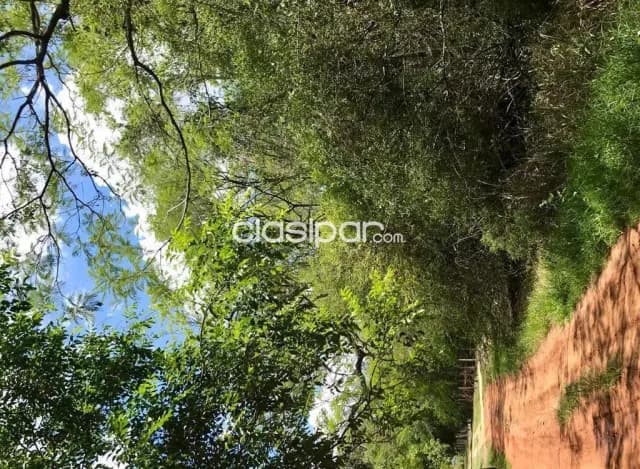 En venta terreno de 1200 m2 surubi´i, foto 3