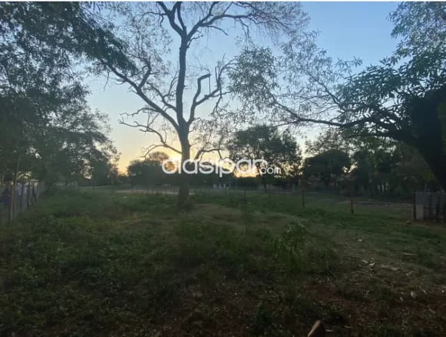 Capiatá un regalo! : 6 lotes fraccionables en venta – 120.000.000 gs — foto 5