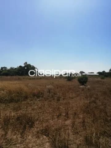 Propiedad de una hectarea en aregua- yuquyry cod 3308 — foto 4