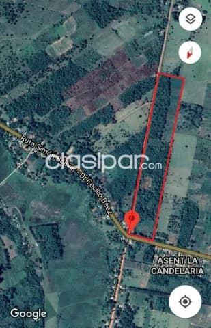 10 Hectáreas Dr Cecilio Báez, En Caaguazú Sobre Asfalto Por: 700 Millones — foto 3
