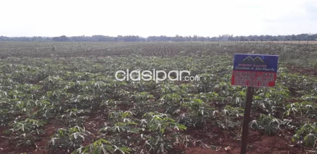 Lote especial para loteamiento o granja, a 5km de ruta 02py km 213, foto 3