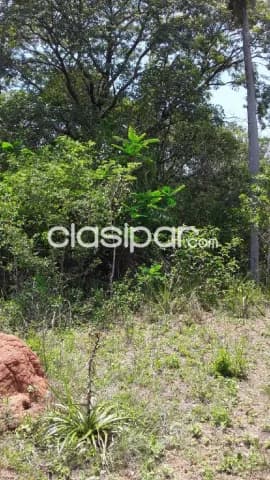 Oferta de 1 ha.en Nueva Colombia — foto 2