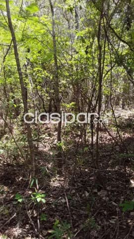 Oferta de 1 ha.en Nueva Colombia — foto 3