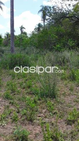 Oferta de 1 ha.en Nueva Colombia — foto 4