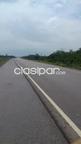 Carmelo peralta – s/ ruta bioceanica: 18 hectáreas ideales p/ inversión asegurada, foto 3