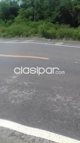 Carmelo peralta – s/ ruta bioceanica: 18 hectáreas ideales p/ inversión asegurada, foto 4