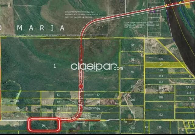 Carmelo peralta – s/ ruta bioceanica: 18 hectáreas ideales p/ inversión asegurada, foto 5