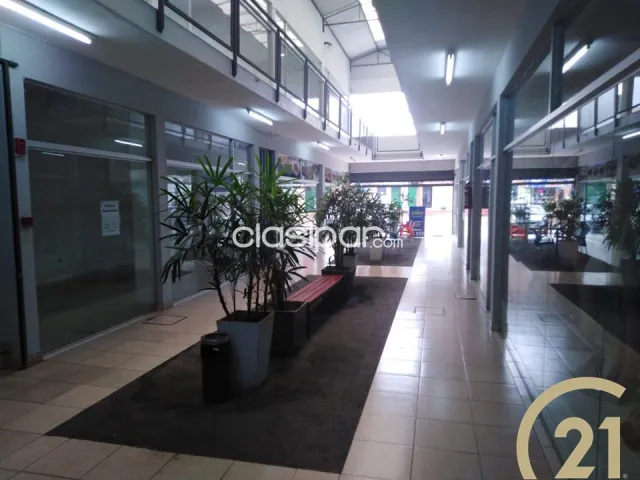 En Alquiler Locales comerciales en el Paseo Libertad, foto 4