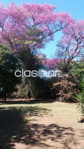 Luque (cit – ñu guazu): 3.393m2, maravillosa casa quinta en venta, 450.000 usd, foto 4