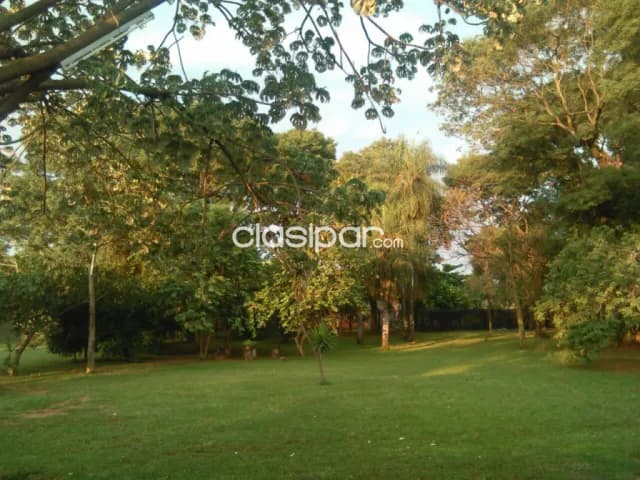 Luque (cit – ñu guazu): 3.393m2, maravillosa casa quinta en venta, 450.000 usd, foto 5