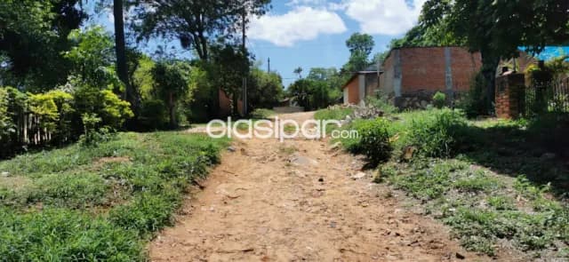 Terreno en Mariano. A metros de la Transchaco — foto 4