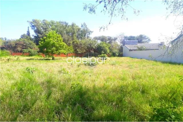 2 terrenos juntos - san miguel – cambyreta: Superficie de terreno: 1,135.47 m2 — foto 4