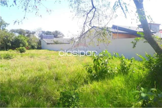 2 terrenos juntos - san miguel – cambyreta: Superficie de terreno: 1,135.47 m2 — foto 5